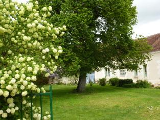 entete-pompons